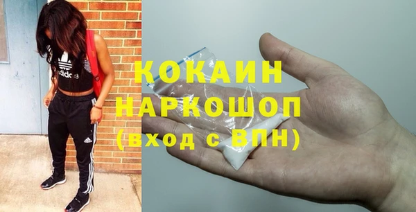 твердый Арсеньев