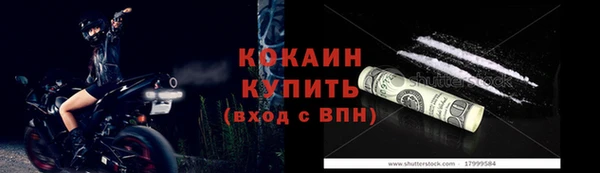 твердый Арсеньев